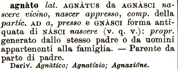 Part of a dictionary explaining the meaning of agnato, in Italian